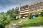 Sosna z 43-360 Wisła, ul. Górnośląska 46